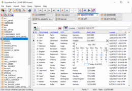 Editing data in Exportizer