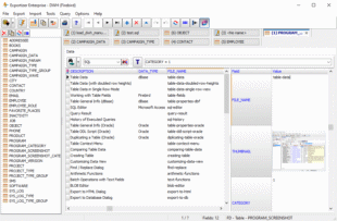 Convenient data view in Exportizer