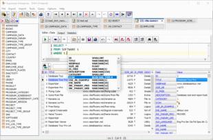 Using SQL query in Exportizer Pro and Enterprize