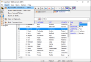 Export menu