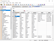 Using Ascetic Data Grid Skin