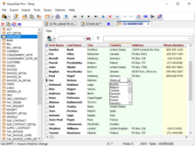 Using Colored Data Grid Skin